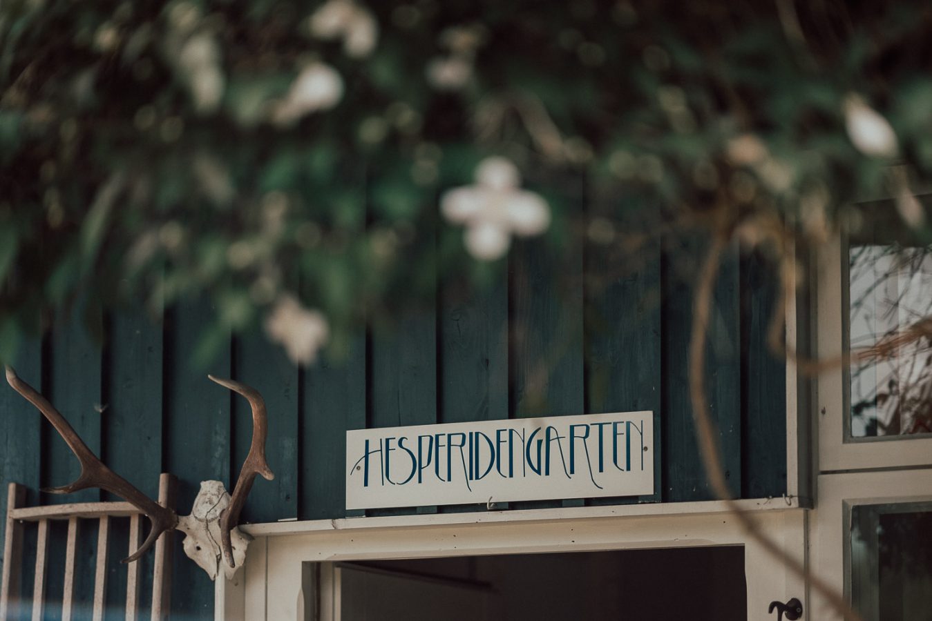 freie-trauung-im-hesperidengarten-0037