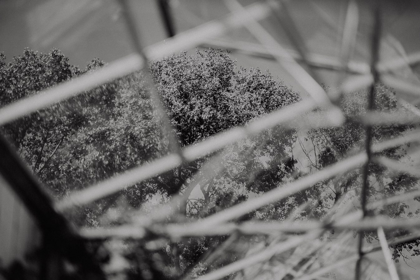 freie-trauung-im-hesperidengarten-0060