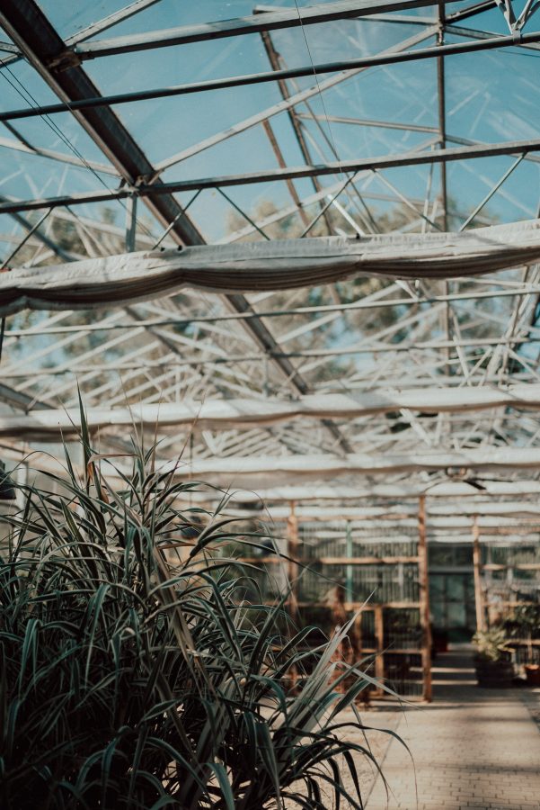 freie-trauung-im-hesperidengarten-0068