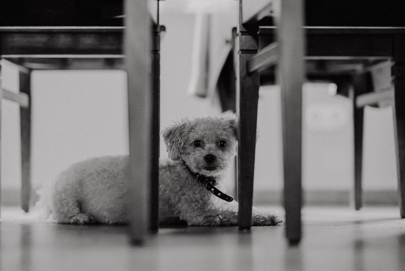 standesamt-aber-richtig-0070