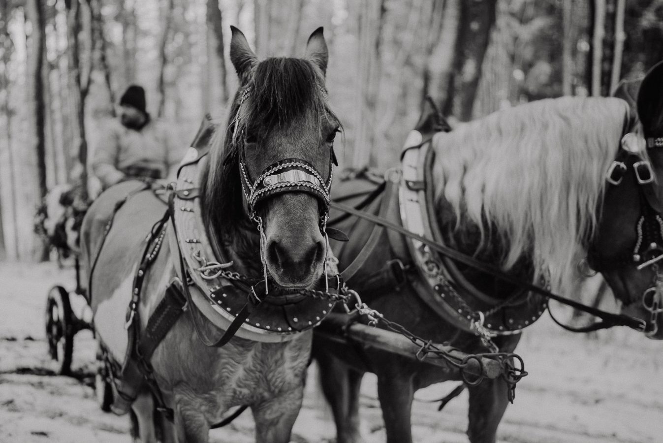 winterhochzeit-mit-weihnachtsmarkt-0063